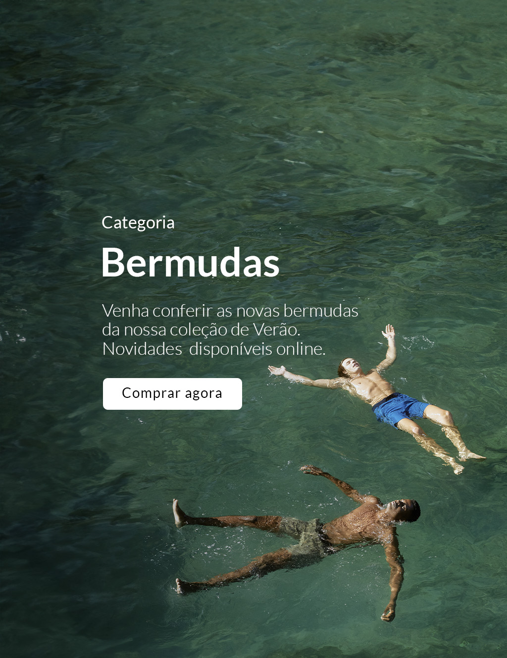 Vista - Drop 1 - Bermudas